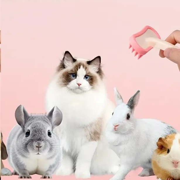 Silicone Massage Comb for Pets