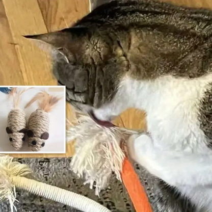 1/2 pack of cat supplies, jute rope, feather, mouse chew toy for cats.