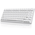 RGB dynamic light wired gaming keyboard, 81 key mute numeric keyboard