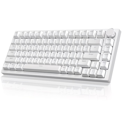 RGB dynamic light wired gaming keyboard, 81 key mute numeric keyboard