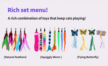 Toy set, including a retractable cat wand and multiple feather replacements.