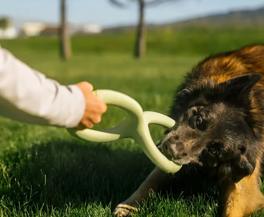 Large Green Natural Rubber Tug-of-War Toy - Ergonomic Handle