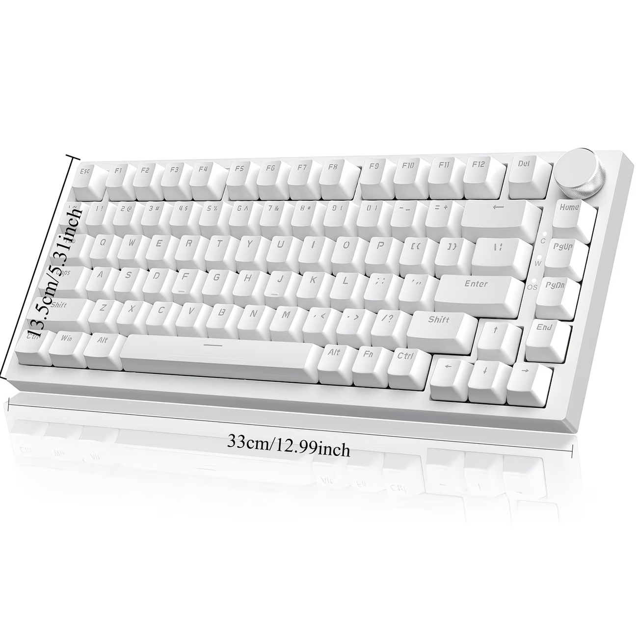 RGB dynamic light wired gaming keyboard, 81 key mute numeric keyboard