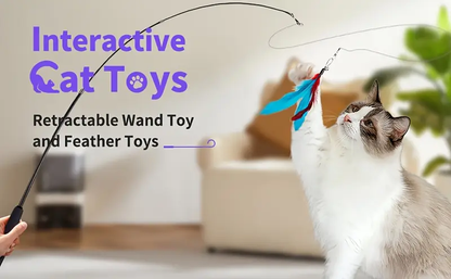 Toy set, including a retractable cat wand and multiple feather replacements.