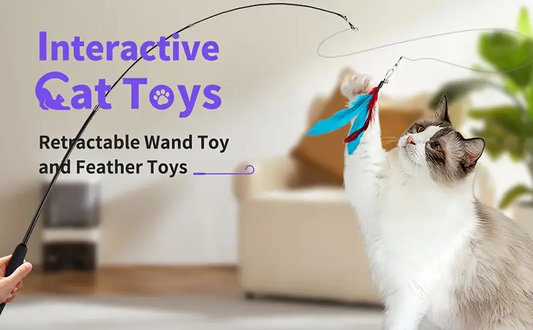 Toy set, including a retractable cat wand and multiple feather replacements.