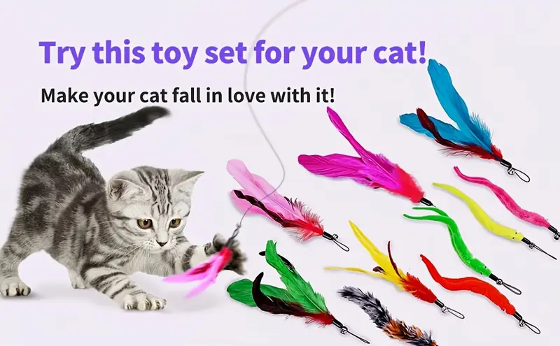 Toy set, including a retractable cat wand and multiple feather replacements.