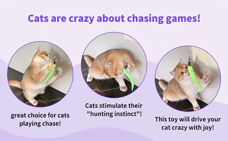 Toy set, including a retractable cat wand and multiple feather replacements.
