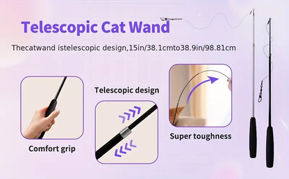 Toy set, including a retractable cat wand and multiple feather replacements.